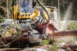 kaceci_hlavice_logmax_7000C_01