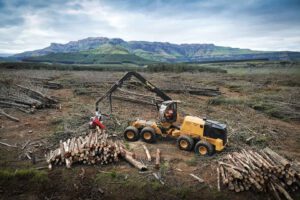 kaceci_hlavice_logmax_7000C_03