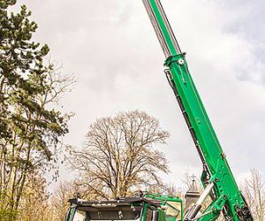 kaceci_jerab_fallbach_07